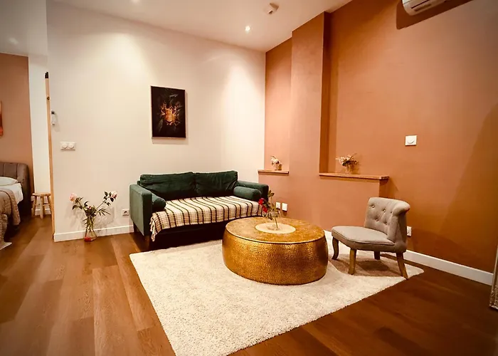 Appartement Colline, La Cinéma Privée Nancy